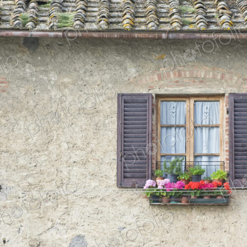 Old Style House Window Old Style House Window