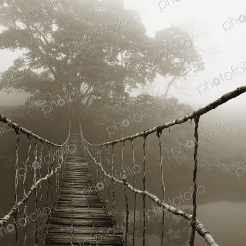 Old Walking Bridge