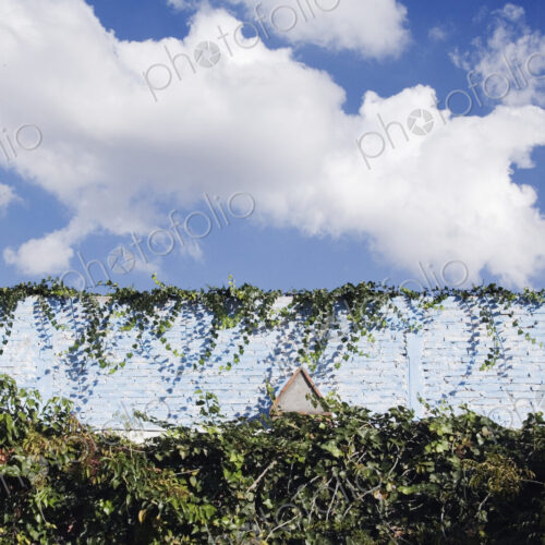 Old Wall