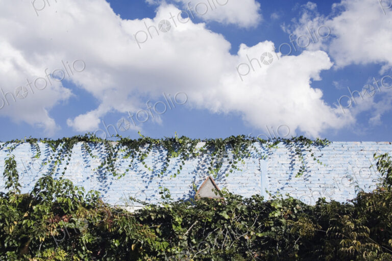 Old Wall