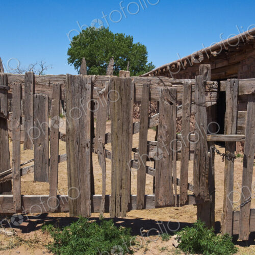 Old Wooden Fence Gate