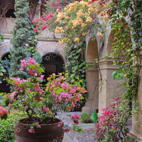 Old World Courtyard Old World Courtyard
