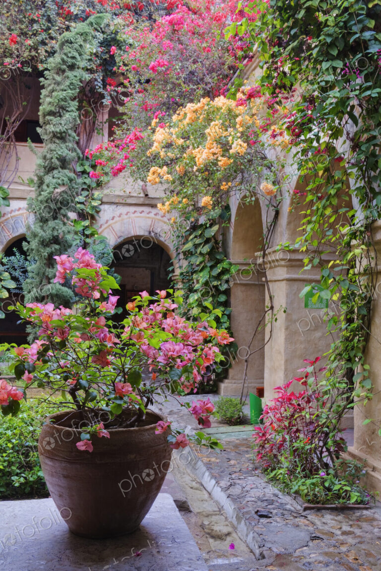 Old World Courtyard