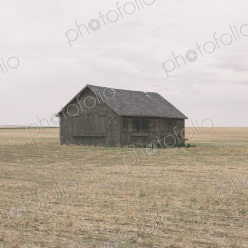Old barn and fallow field,