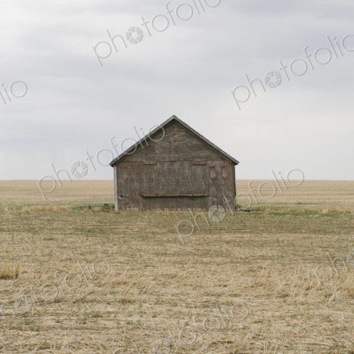 Old barn and fallow field,