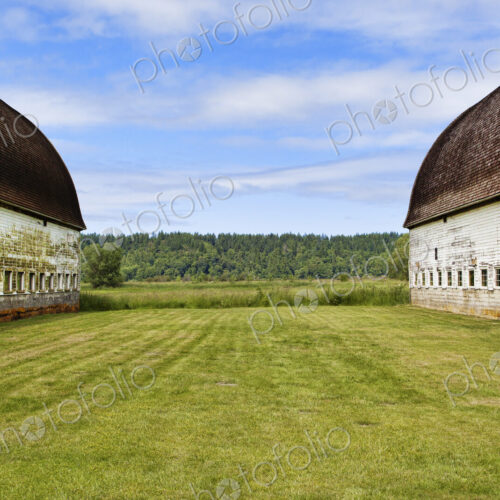 Old barns on farm, Olympia, Washington, United States
