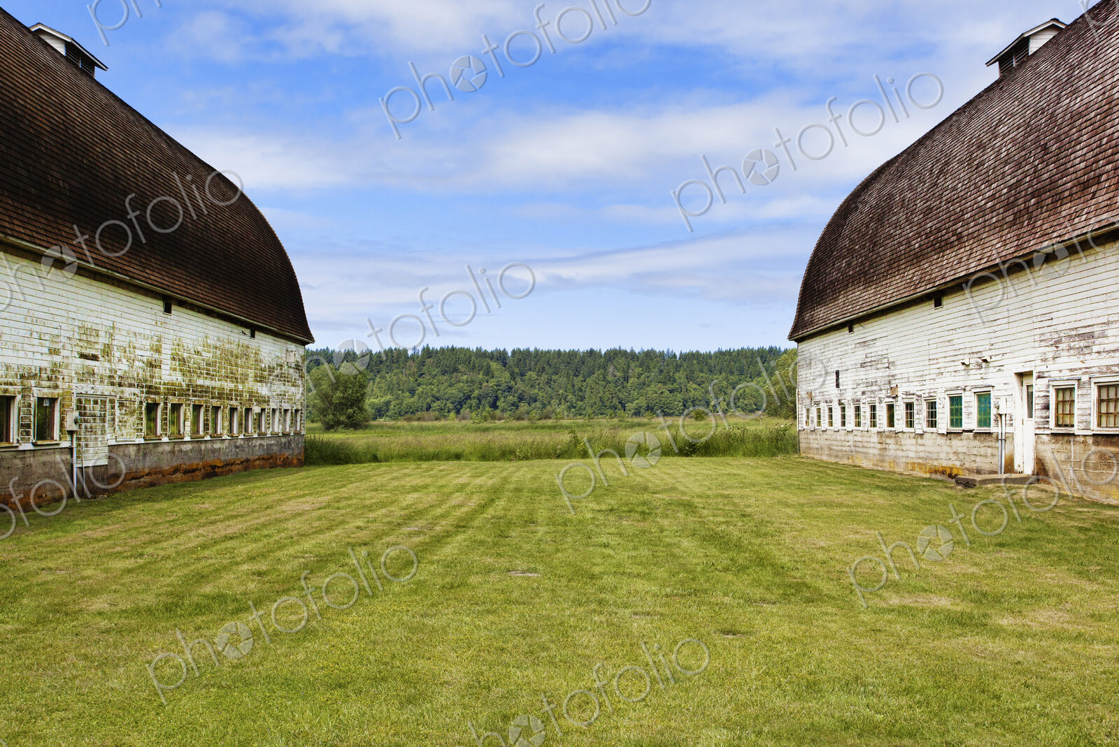 Old barns on farm, Olympia, Washington, United States