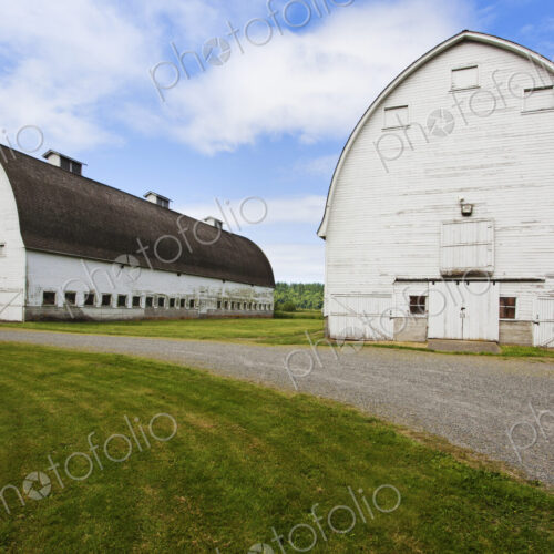 Old barns on farm, Olympia, Washington, United States