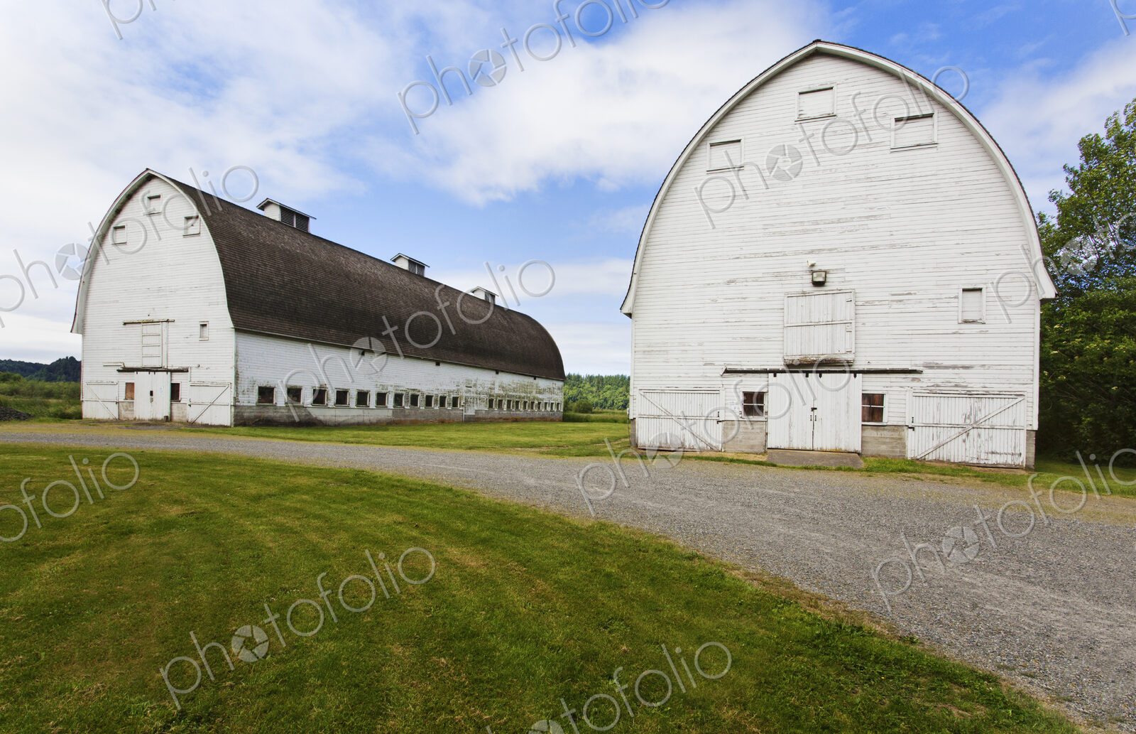 Old barns on farm, Olympia, Washington, United States
