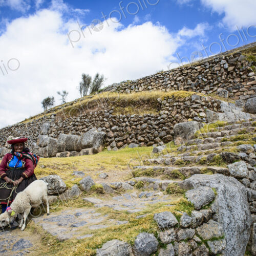 Older Hispanic woman walking llama on stone steps