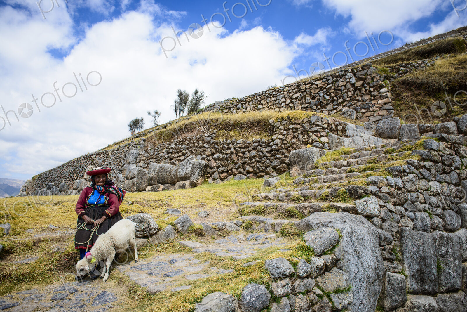 Older Hispanic woman walking llama on stone steps