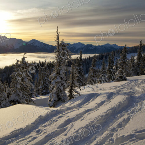 Olympic Mountain view near Hurricane Ridge Visitors Center, Olympic National Park in…