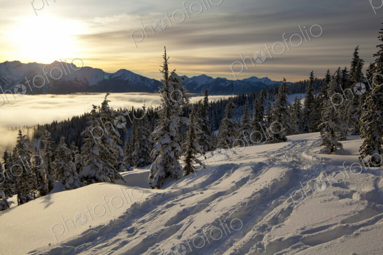 Olympic Mountain view near Hurricane Ridge Visitors Center, Olympic National Park in…