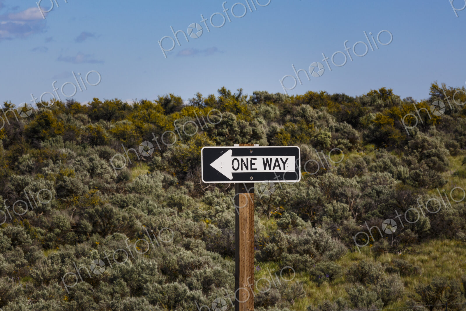 One Way road sign, Ryegrass, WA USA