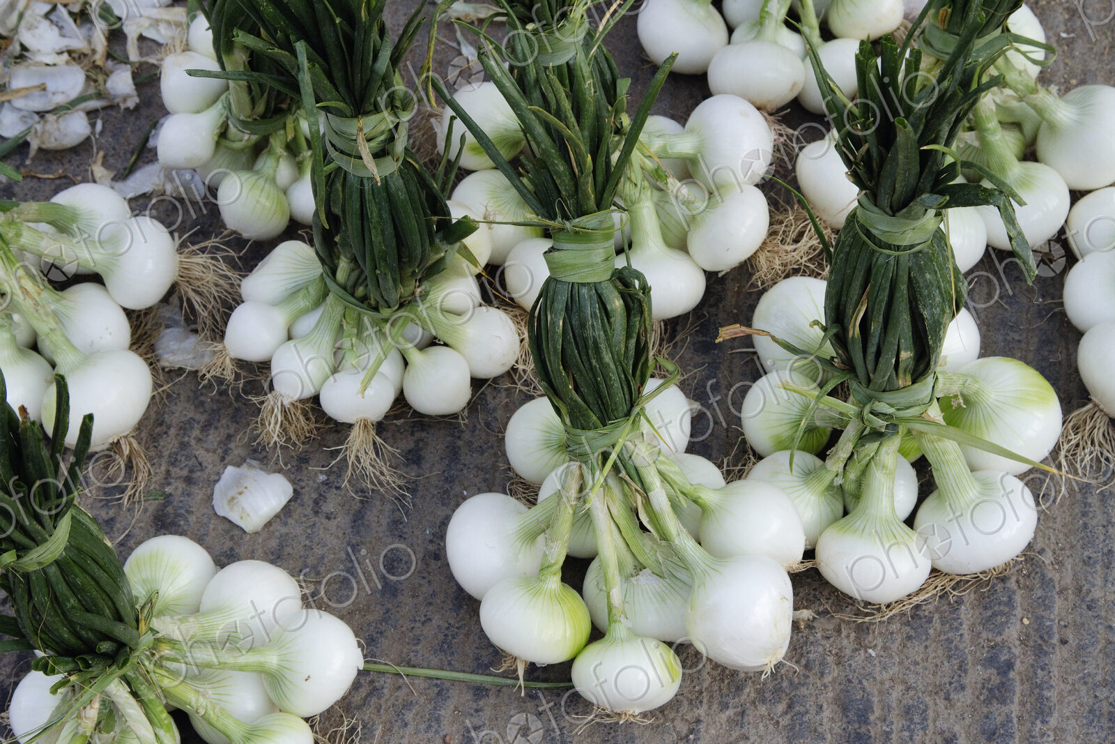 Onion Bundles