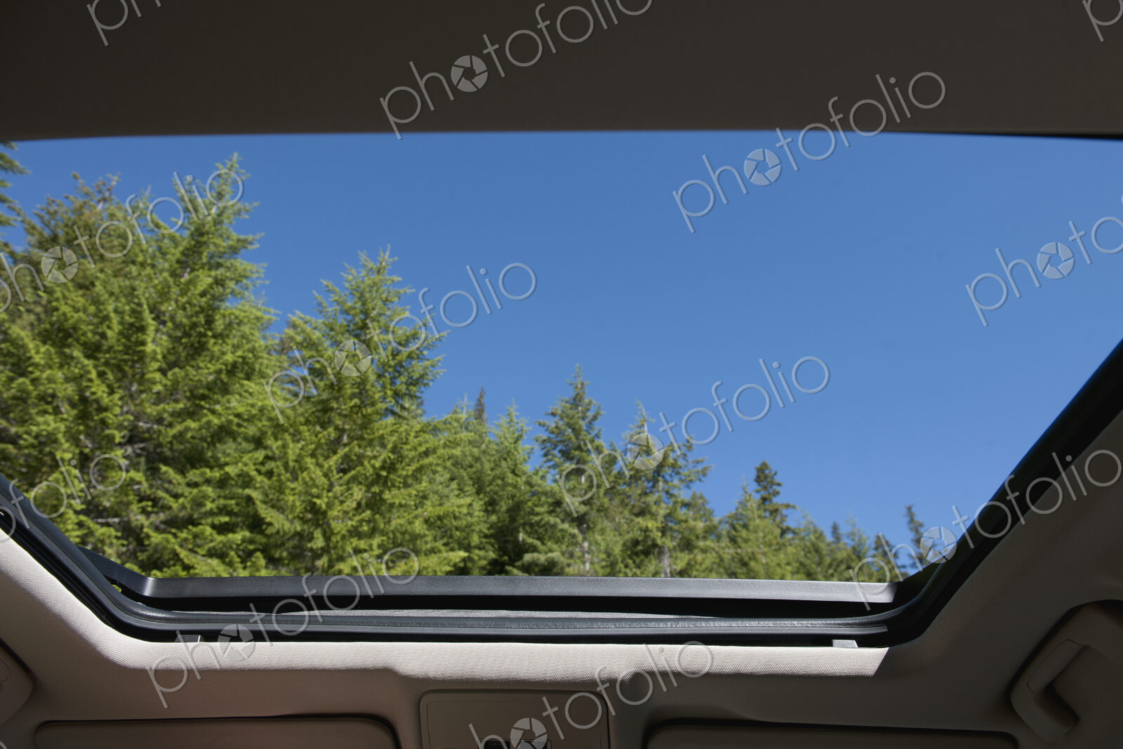 Open Sunroof