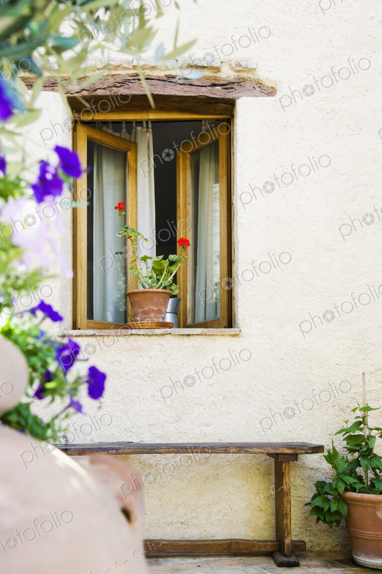 Open Window With Potted Plant and Bench