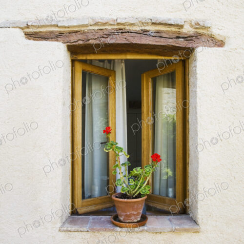 Open Window and Potted Plant Open Window and Potted Plant