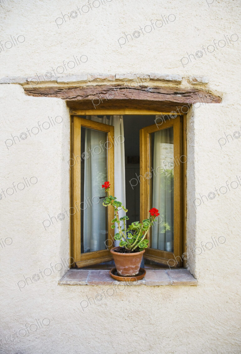 Open Window and Potted Plant