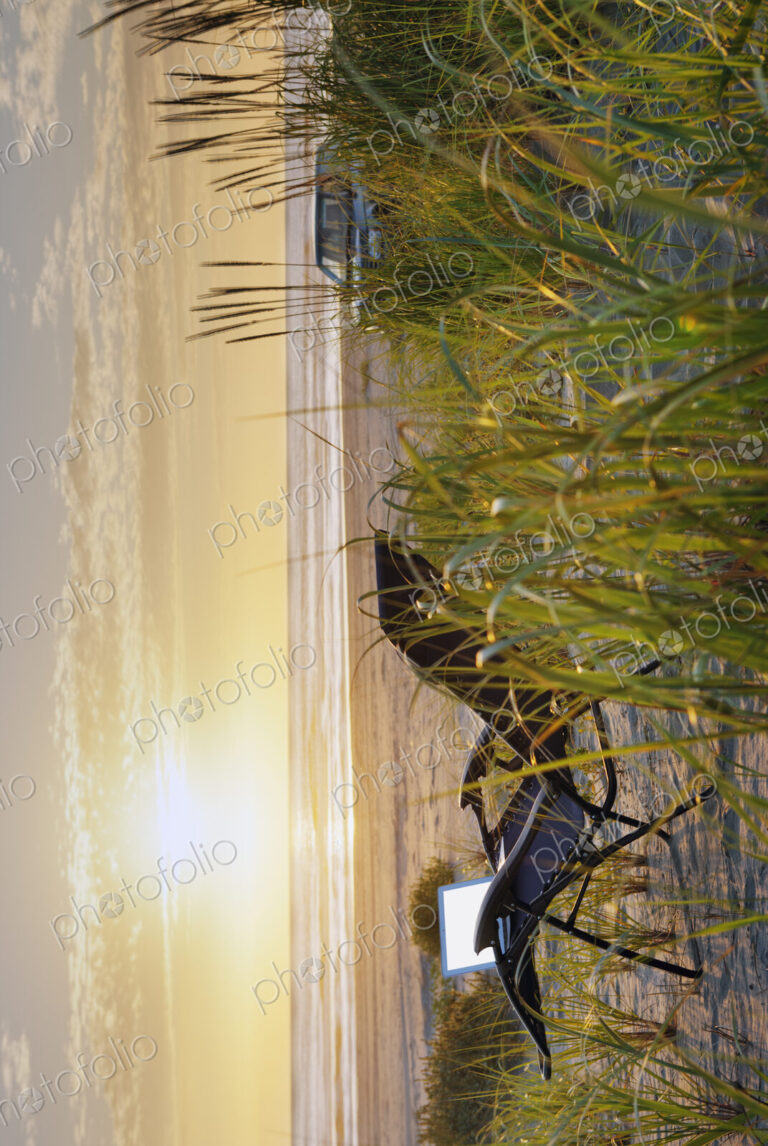 Open laptop on sun lounger in reeds on at beach at sunset.