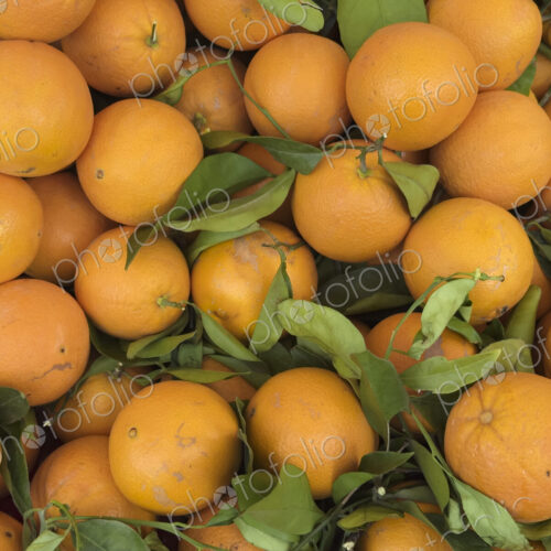 Oranges for Sale at Local Market Oranges for Sale at Local Market