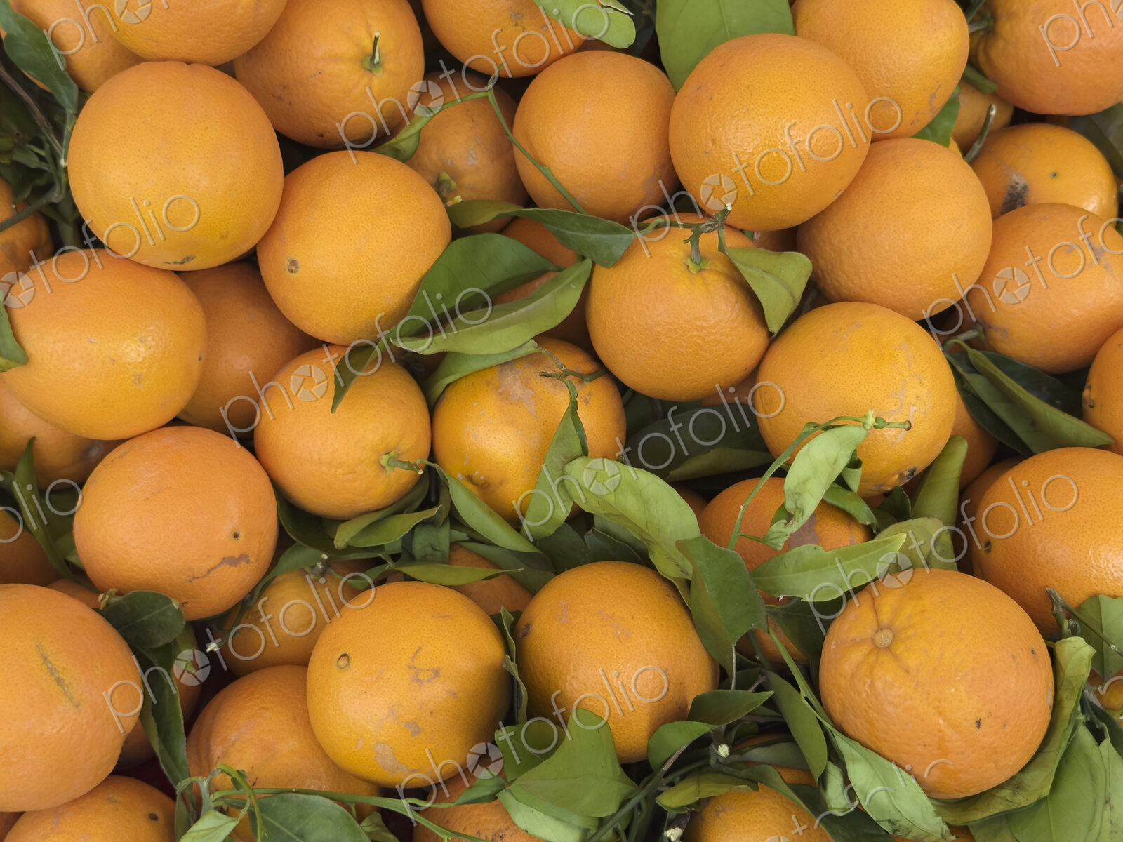 Oranges for Sale at Local Market