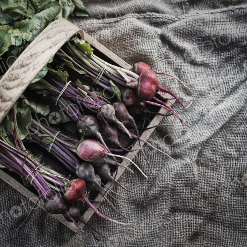Organic Assorted Beets with stems just harvested