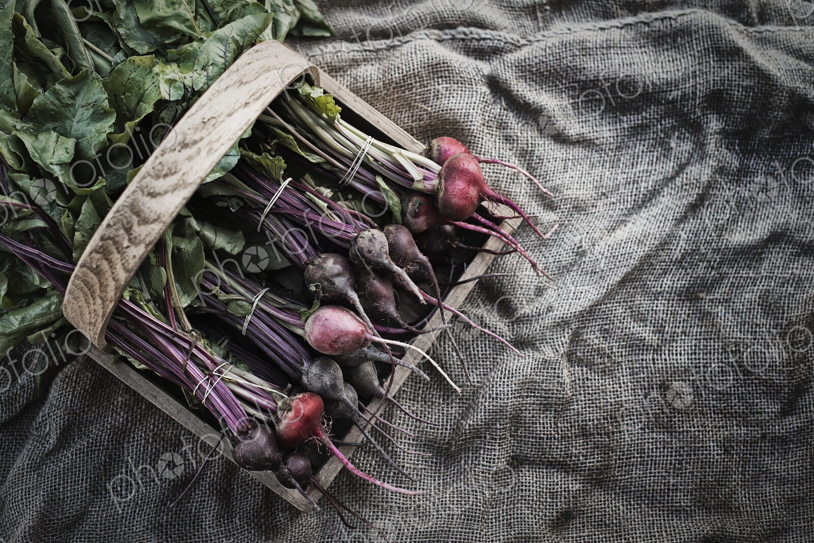 Organic Assorted Beets with stems just harvested