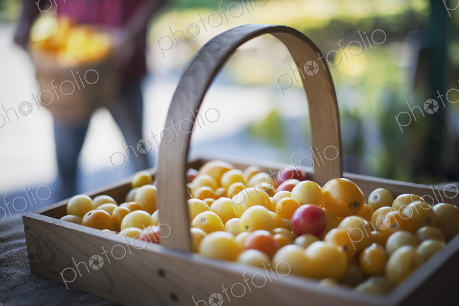 Organic Assorted Heirloom Tomatoes just picked