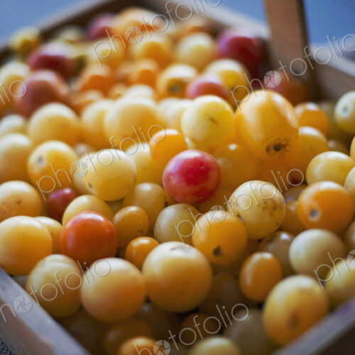 Organic Assorted Heirloom Tomatoes just picked