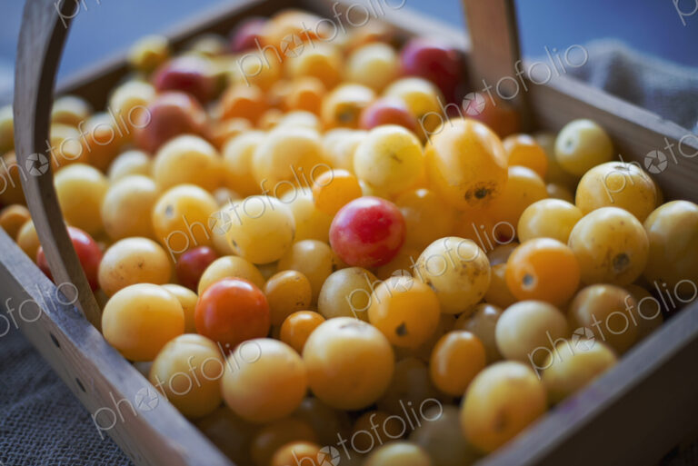 Organic Assorted Heirloom Tomatoes just picked