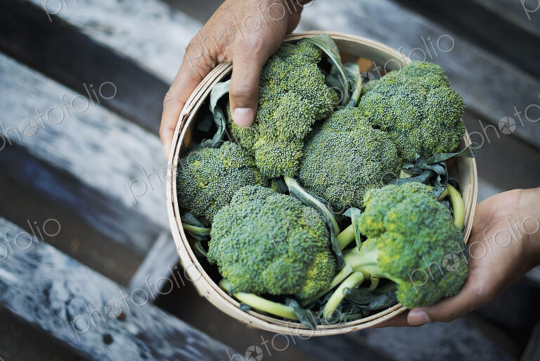 Organic Broccoli just harvested