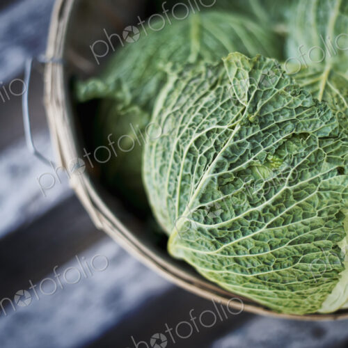 Organic Cabbages just harvested