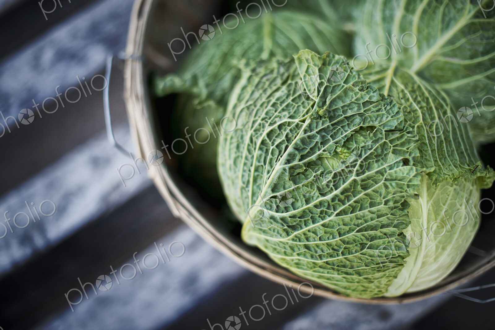 Organic Cabbages just harvested