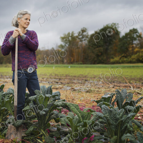 Organic Farmer at Work. A woman leaning on a hoe among a line of cabbages. Organic Farmer at Work. A woman leaning on a hoe among a line of cabbages.
