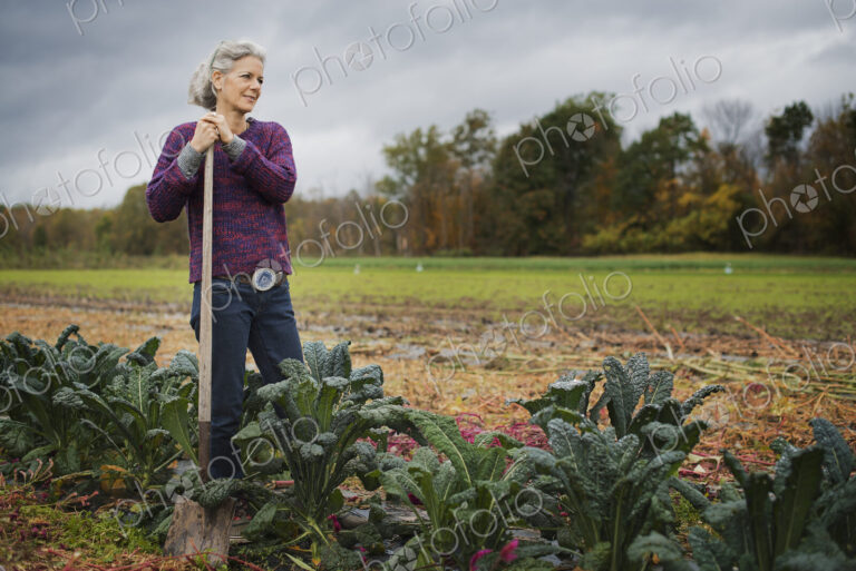 Organic Farmer at Work. A woman leaning on a hoe among a line of cabbages.