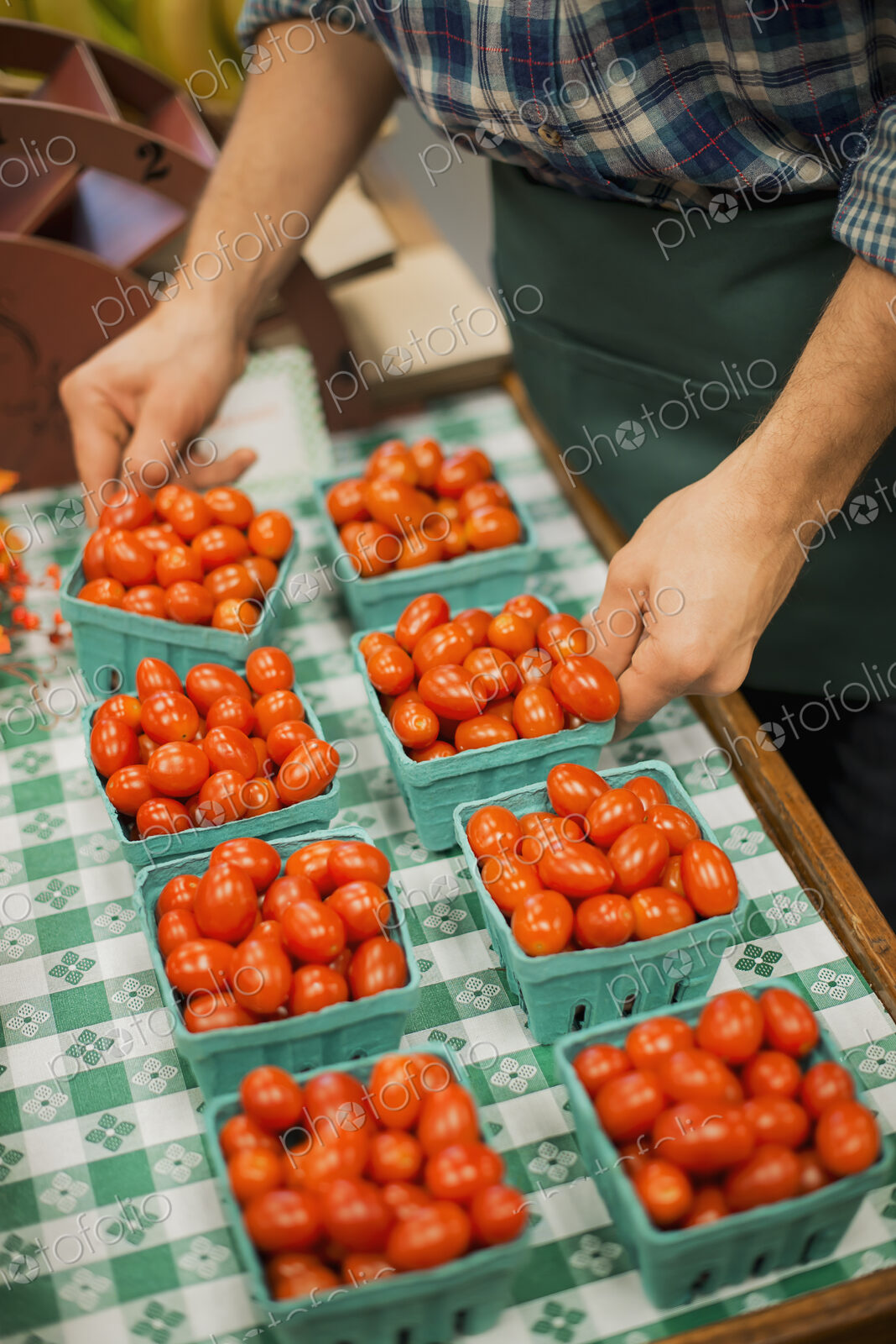 Organic Farmer at Work. A young man arranging a row of punnets of tomatoes.