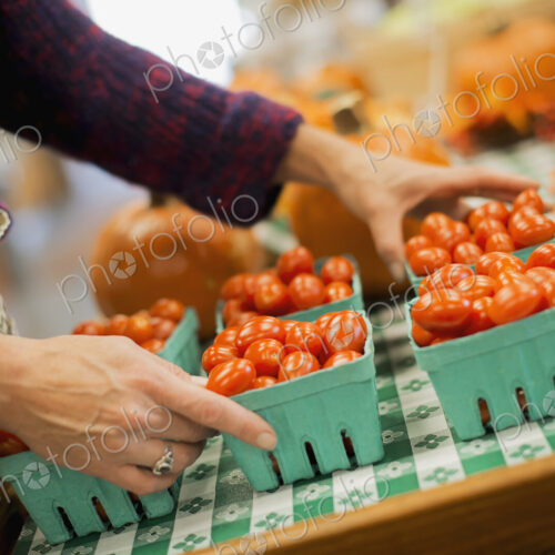 Organic Farmer at Work. A young man arranging a row of punnets of tomatoes.