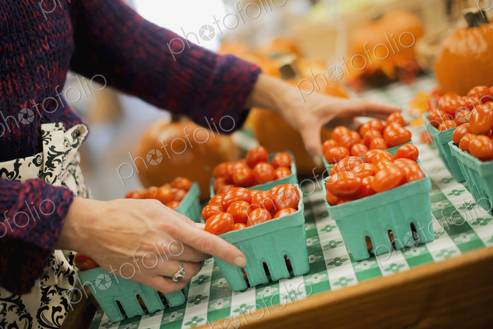 Organic Farmer at Work. A young man arranging a row of punnets of tomatoes.