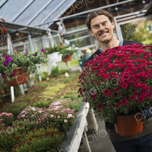 Organic Farmer at Work. A young man holding a large pot of flowering plants. Organic Farmer at Work. A young man holding a large pot of flowering plants.