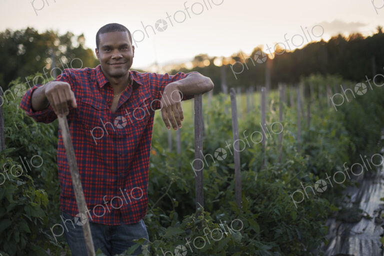 Organic Farmer with Tomato Plants