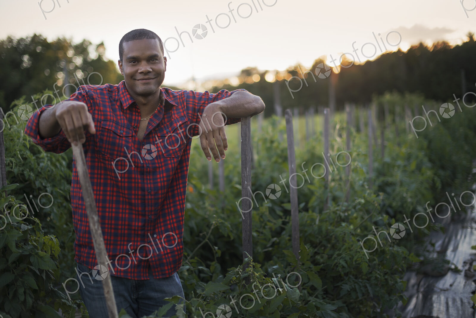 Organic Farmer with Tomato Plants