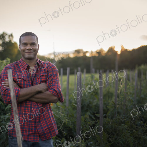 Organic Farmer with Tomato Plants Organic Farmer with Tomato Plants