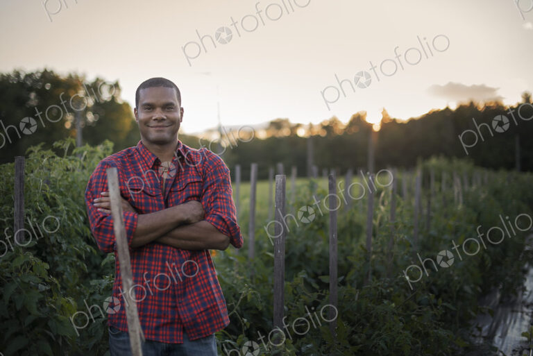 Organic Farmer with Tomato Plants