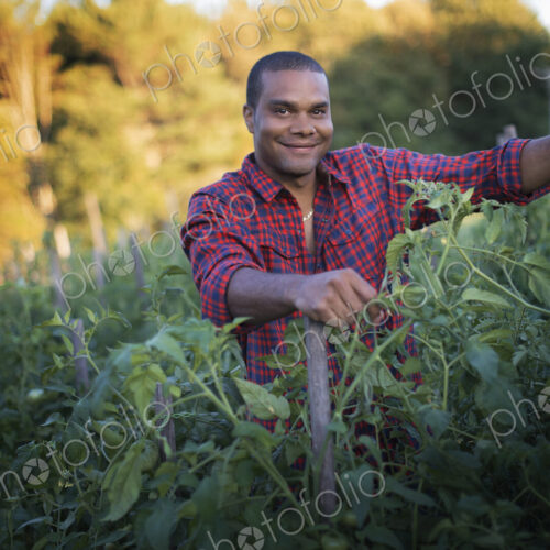 Organic Farmer with Tomato Plants Organic Farmer with Tomato Plants