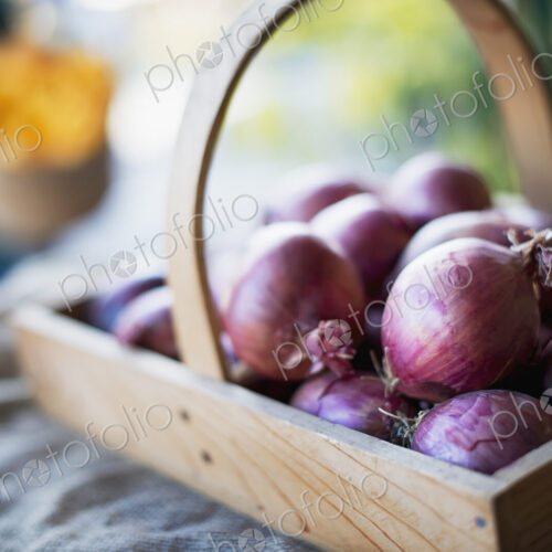 Organic Red Onions in Basket