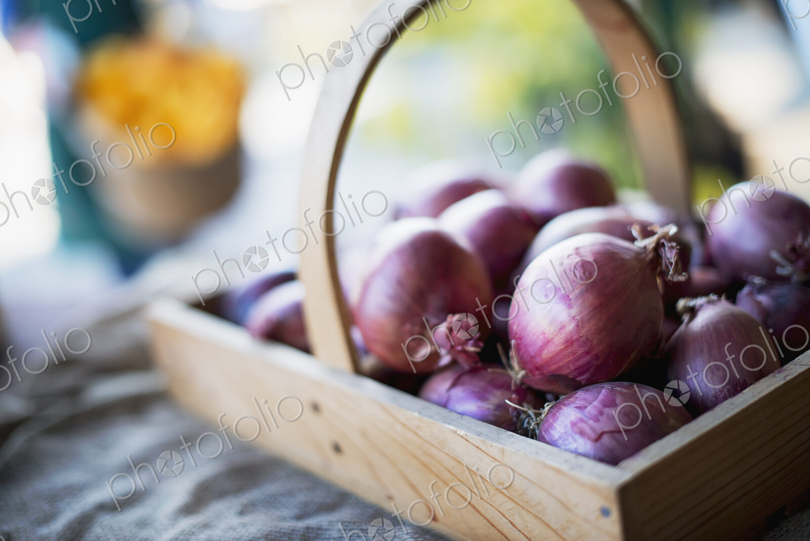 Organic Red Onions in Basket