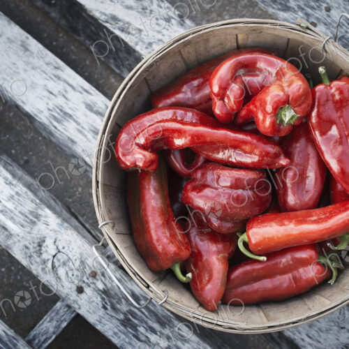 Organic Sweet Red Peppers just harvested Organic Sweet Red Peppers just harvested