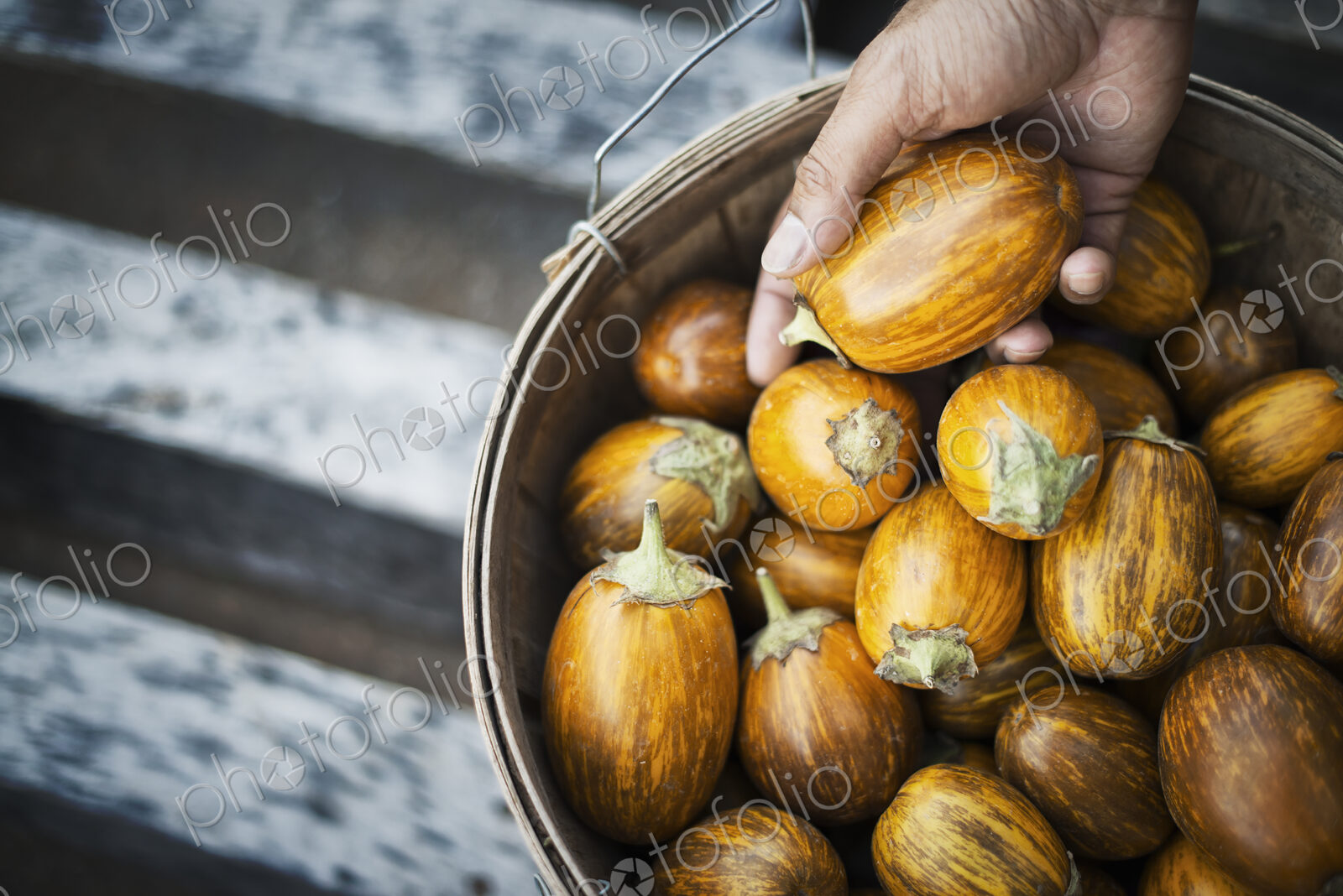 Organic Turkish Orange Eggplants just harvested