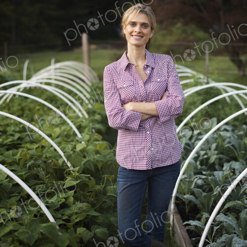 Organic Vegetable Garden Organic Vegetable Garden